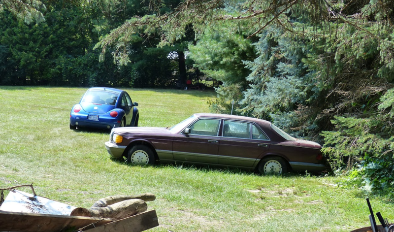 Illustration for article titled A Michigan Town Is Forcing This Man To Sell 20 Old Cars Off His Property Every Month